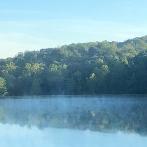 Meet your Posher, Janell